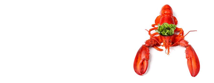 King of lobster with vegetable crown isolated on white background
