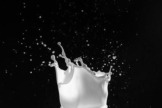 Milk or white liquid splash on dark background