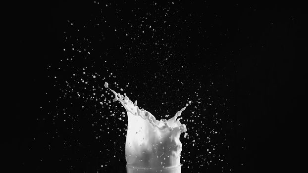 Milk or white liquid splash on dark background