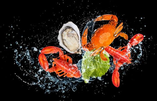 Freshy seafood with water splash flying in the air isolated on black background, Seafood washing