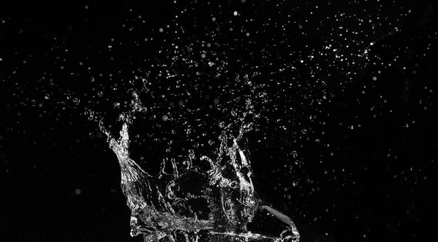 Water splash on dark background