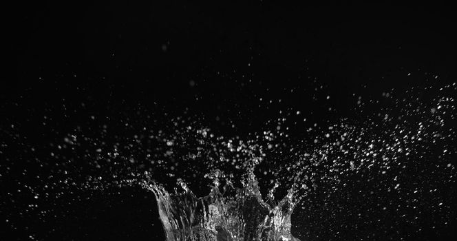 Water splash on dark background