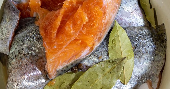 Salting fresh trout. Pieces of salted trout with salt.