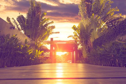 Scenery sunset and wood floor.Romantic travel background