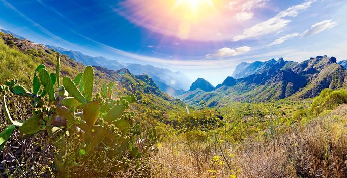Travel adventures and outdoor .Masca valley.Canary island.Tenerife.Scenic mountain landscape.Cactus,vegetation and sunset panorama in Tenerife