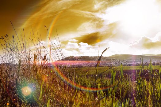 Sunset landscape.Fields and vegetation