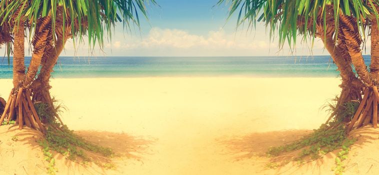 Beach and palm tree.Travel and vacation concept background