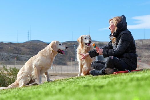 Woman and dogs playing in the park.Companion pets concept