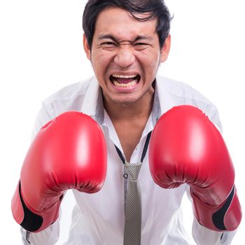 Portrait angry businessman with boxing gloves isolated on over white background