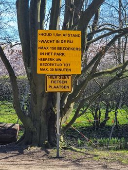 Amsterdam Netherlands April 2021,Pink japanese cherry blossom garden in Amsterdam in full bloom, Bloesempark - Amsterdamse Bos 