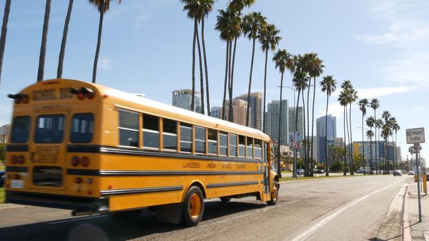 San Diego, California USA - 31 Jan 2020: American yellow school bus on street in downtown. Schoolbus shuttle on road, city near Los Angeles. Education transportation infrastructure. Civic Center.