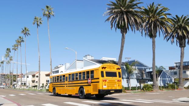 Oceanside, California USA -8 Feb 2020: American yellow school bus on Pacific street in downtown. Schoolbus shuttle on road, city near Los Angeles. Education transportation infrastructure. Man on zebra