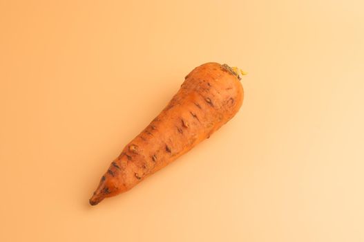 organic carrot in the mud on beige background,not peeled sweet carrots on the surface,young carrots from garden in minimalist style,vitamins,vegetarian food,healthy eating concept.Top view.Copy space.