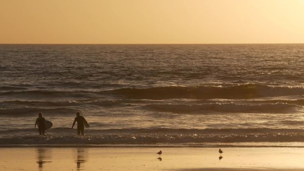 Oceanside, California USA - 11 Feb 2020: Surfer silhouette, pacific ocean beach in evening, water waves and sunset. Tropical coastline, waterfront vacation resort. People enjoy surfing as sport hobby.