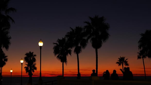 Oceanside, California USA - 27 Dec 2020: Palms silhouette twilight sky, dusk nightfall atmosphere. People walking on pier. Tropical pacific ocean beach, sunset afterglow aesthetic. Los Angeles vibes.