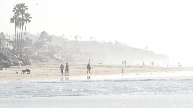 Del Mar, California USA - 23 Jan 2020: Dog friendly beach. People walking and training pets. Owners strolling and playing with various puppies. Men, women and many different dogs running near ocean.