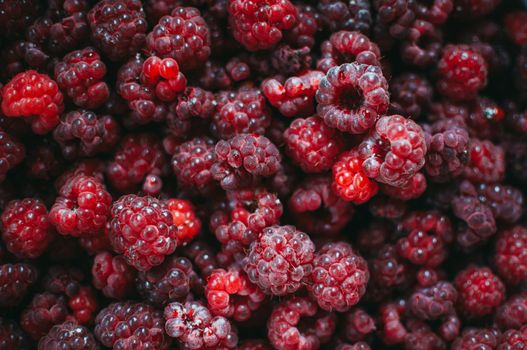 Raspberry fresh berry eco friendly background. Macro photo food of raspberries. The concept of health, vitamins for colds, proper nutrition. Template for design.