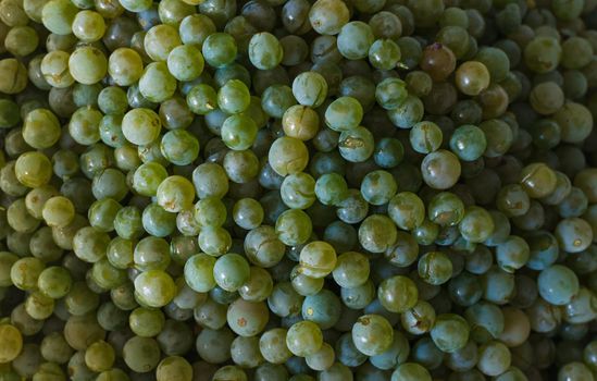 White grapes for wine production, background. Ripe crop ready for production in the fall. Vineyard in France. Template for design. Copy space.