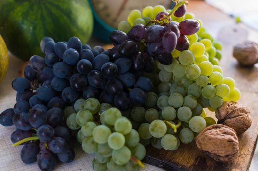 Autumn still life with grapes on a wooden board and walnuts around on a wooden white table. On the back scales. The concept of autumn harvest. Happy Thanksgiving. Selective focus. Template for design.