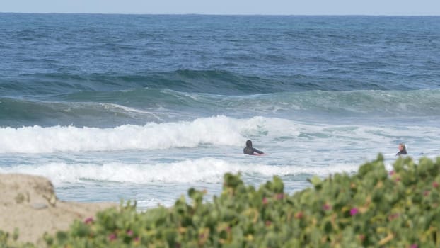 Encinitas, California USA - 23 Feb 2020: Surfers in ocean, pacific coast big blue sea water waves. People surfing, sport with surfboards. Healthy lifestyle, watersport hobby. Person and surf or tide.