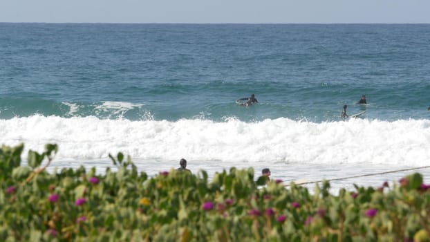 Encinitas, California USA - 23 Feb 2020: Surfers in ocean, pacific coast big blue sea water waves. People surfing, sport with surfboards. Healthy lifestyle, watersport hobby. Person and surf or tide.