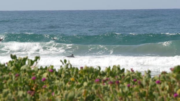 Encinitas, California USA - 23 Feb 2020: Surfers in ocean, pacific coast big blue sea water waves. People surfing, sport with surfboards. Healthy lifestyle, watersport hobby. Person and surf or tide.