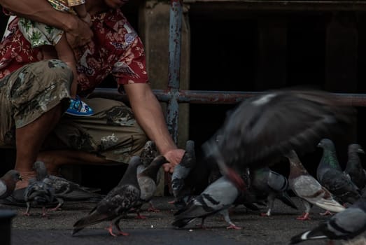 Nonthaburi, Thailand - 21 Jul 2019 : An asian man and baby feeding a lot of pigeons flying around nonthaburi Pier in the evening.