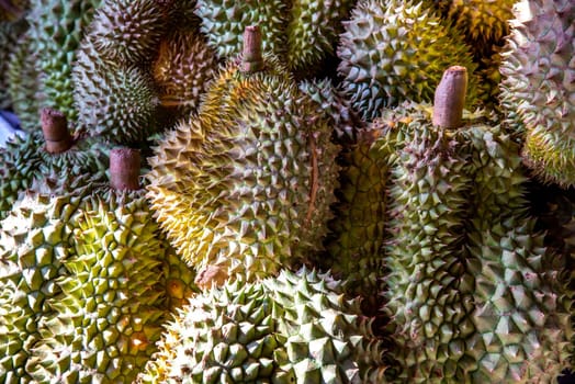 Group of fresh durians fruit prepare for sell in the durian market. thai fruit.