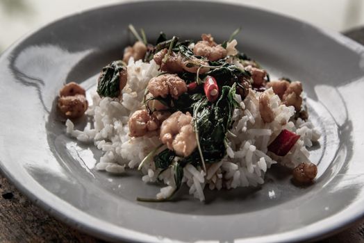 Close-up of Rice topped with Stir fried thai basil with dwarf prawn served in white dish on wooden table, A world renowned delicacy from Thailand, Selective focus.