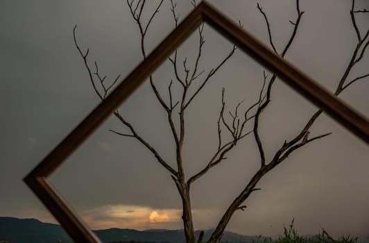 Portrait of landscape of sunset sky with dry tree looking through at empty photo frame at Bang Pra reservoir at Chonburi Province, Thailand