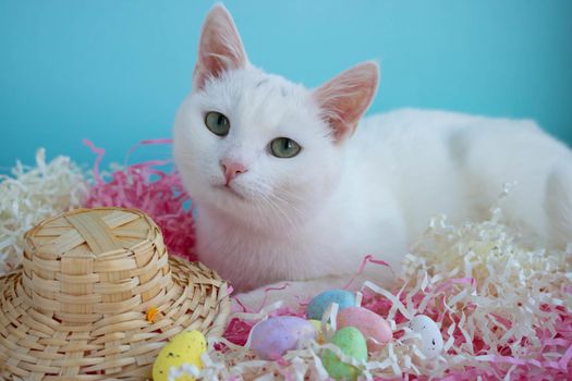 A cute white cat lies on the tinsel next to eggs and a straw hat. Easter Concept.