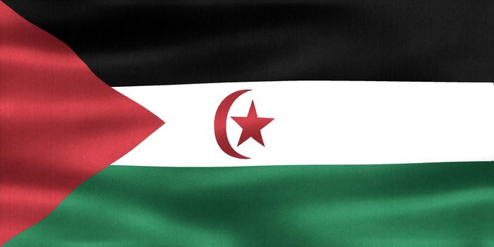 Western Sahara flag - realistic waving fabric flag