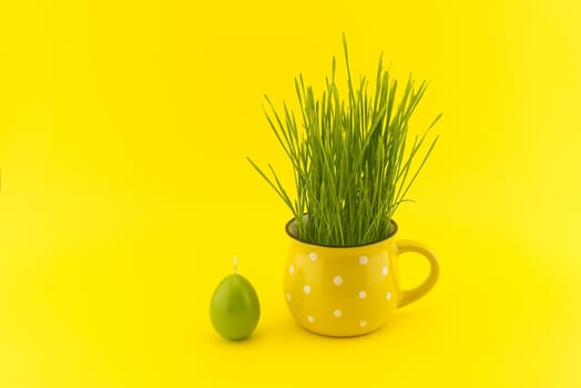 Wheat seedlings growing from yellow cup and green egg shaped candle isolated on yellow background with copy space for text