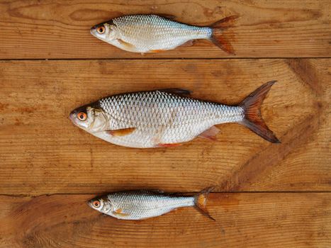 Three fish lie on wooden brown table.