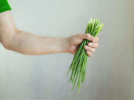 Man holds bunch of green onion feathers in his hand.