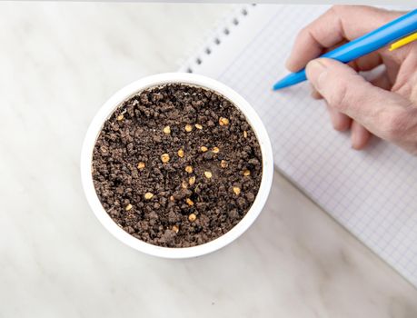 Seeds are planted in ground in white bowl. Seed variety, number, and date of planting are recorded in notebook.