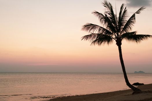 Tropical nature clean beach and white sand in summer season with sun light blue sky background.