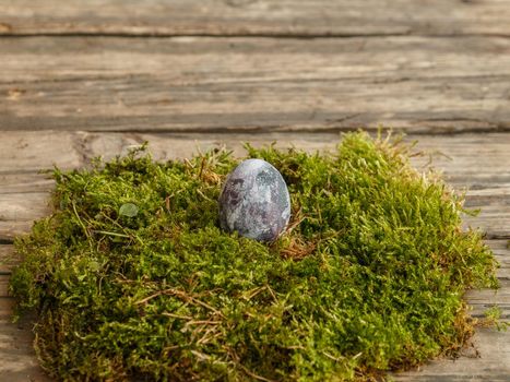 Painted chicken egg in green moss on brown table. Selective focus