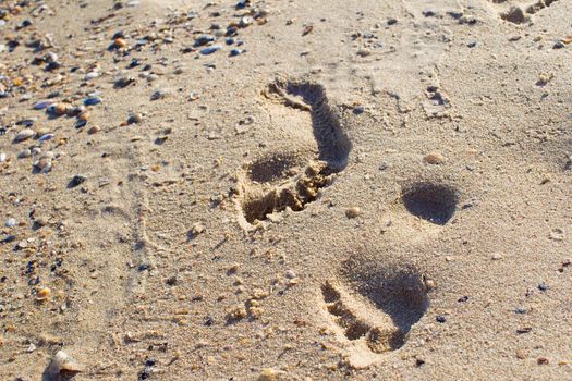 Footprints in the sand