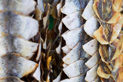 Dried hanging fish. Taranka. Fish Market