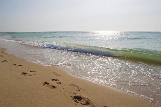 Footprint on sand at the beach.