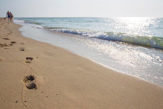 Footprints in the sand of people walking along the shore