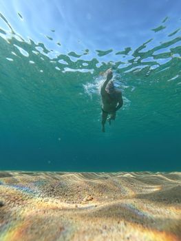 Sporty man swimming in a clear sea water in Spanish Costa Brava in summer
