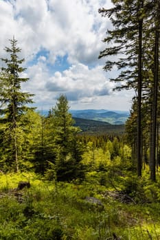 Panorama of Rudawy Janowickie mountains with high old thin trees