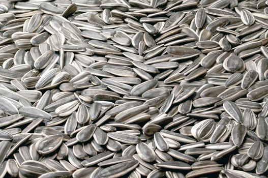 sunflower seed texture close - up as background. High quality photo