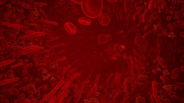 Red blood cells in artery of human body. Flying through a blood vessel in an organism. Red blood cells fly through a blood vessel.