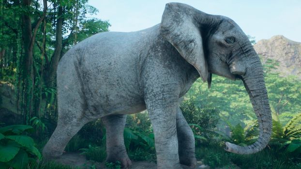 A gray African elephant walks through the green jungle in the early morning. A look at the African jungle.