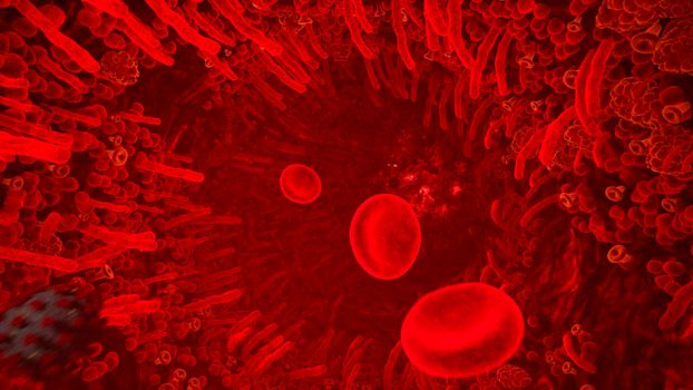 Red blood cells in artery of human body. Flying through a blood vessel in an organism. Red blood cells fly through a blood vessel.