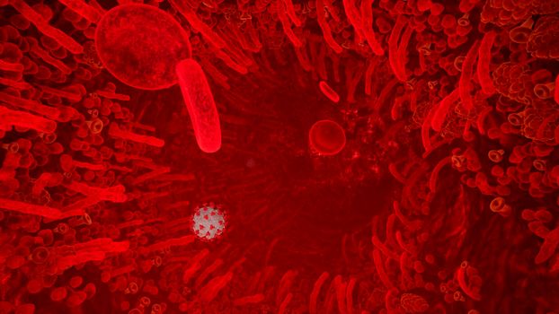 Flying through a blood vessel in an organism infected with the Covid-19 coronavirus. An organism infected with the 2019-ncov virus. Coronavirus and blood cells inside the body.