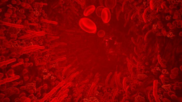 Red blood cells in artery of human body. Flying through a blood vessel in an organism. Red blood cells fly through a blood vessel.